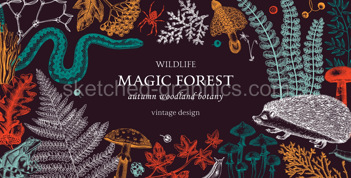 Woodland Animals Autumn Botanical Frame Illustration